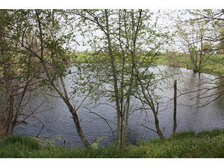 Property photo 13 - 438 +/- Acres Offered in 10 Tracts - Metcalf Farms - 6PM CST